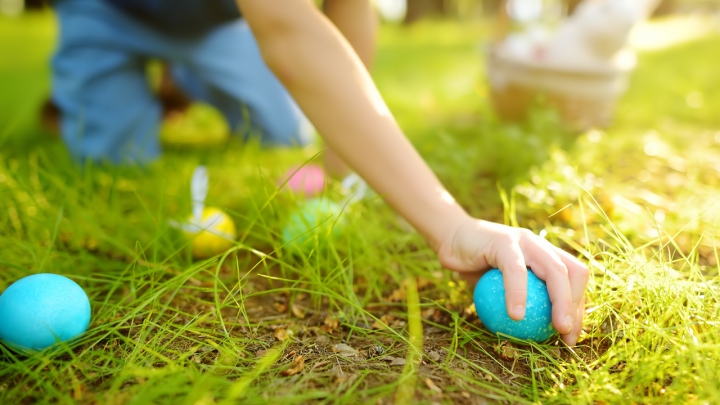 little-boy-hunting-for-egg-in-spring-garden-on-eas-2023-11-27-05-14-28-utc.jpeg