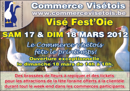 -commerce-visetois.jpg