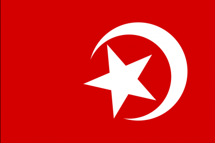 900px-Nation_of_Islam_flag.svg.png