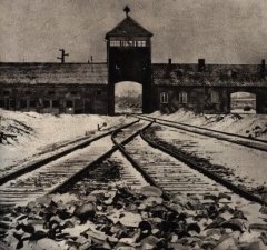 birkenau.jpg