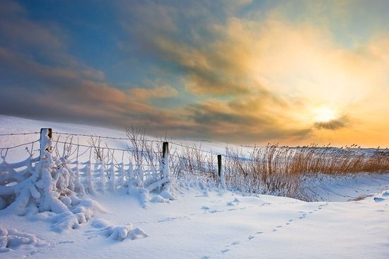 paysage-hiver-103.jpg